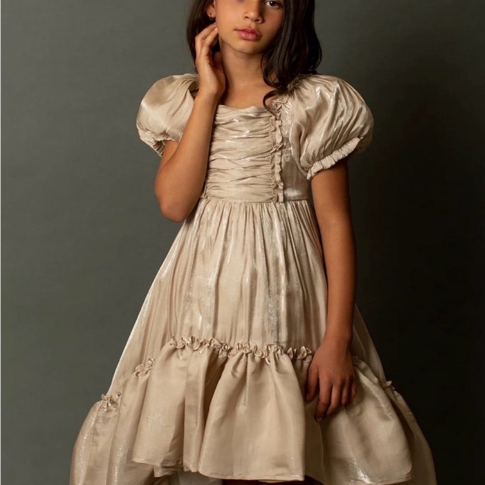Joyfolie Shimmering Cream Puff Sleeve Dress